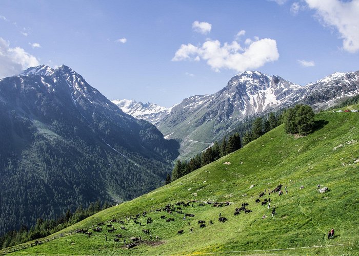 Grimentz-Bendolla Grimentz - Bendolla par la Pierre d'Avoin n°6 • Hiking route ... photo