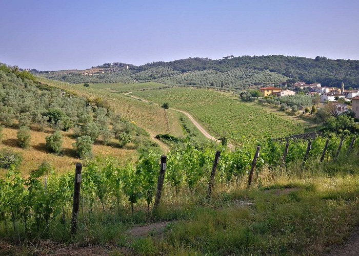 Capraia Top 10 Bike Rides and Cycling Routes around Capraia E Limite | Komoot photo