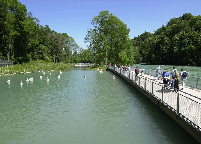 Tierpark Aare bank facilities | Tierpark Bern photo