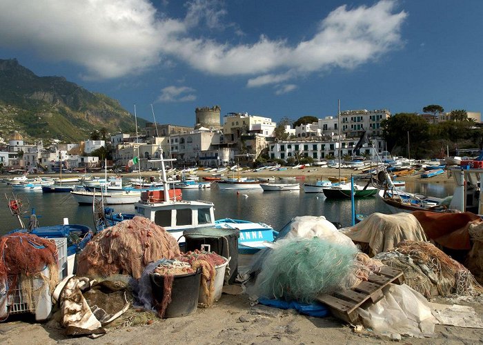 Forio d'Ischia Harbour Ischia: Trawlermen on Italian island learn to dive so they can ... photo