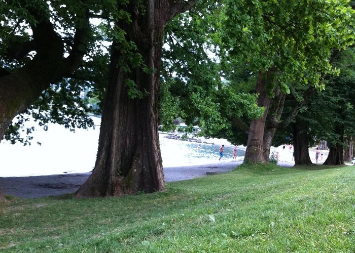 Strandbad Tribschen Lake Lucerne's Beaches: Strandbad Tribschen – Slovenian Girl Abroad photo