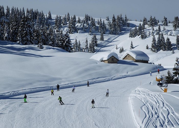 Fondo Grande - Martinella Alpe Cimbra: Folgaria - Lavarone, Ski resort photo