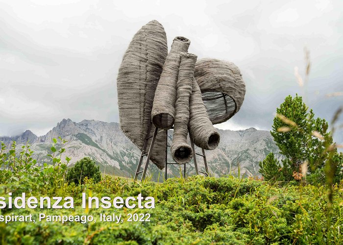 Residenza 2022 Residenza Insecta – ZAC project for RespirArt, Italy, | Imke Rust photo