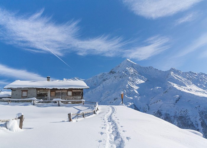 Plaghera WINTER HIKING AND SNOWSHOEING | Santa Caterina photo