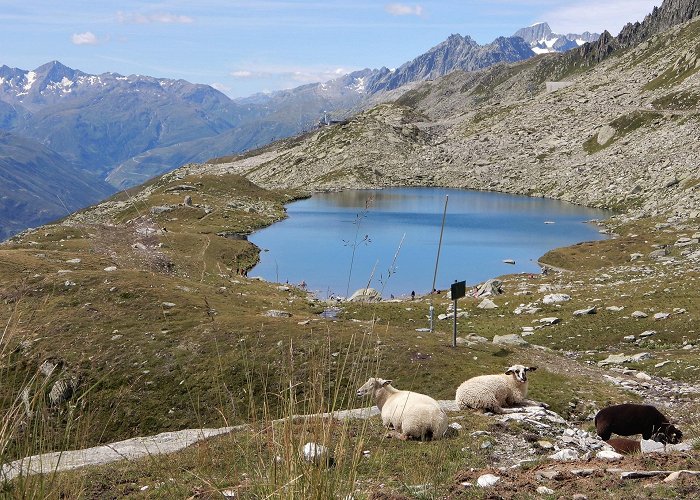 Lutersee Lakes in Uri | Outdooractive photo