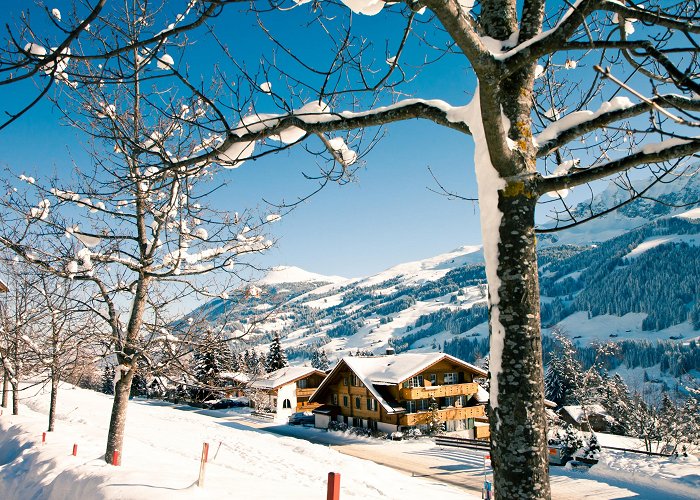 Ski Lift Adelboden - Eselmoos Adelboden Ski Resort in Canton of Bern | Expedia.co.id photo