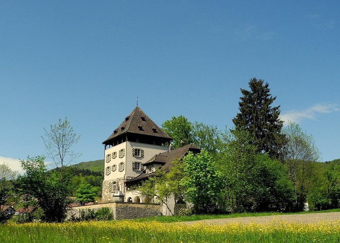 Schloss Auenstein Visit Canton of Aargau: 2024 Travel Guide for Canton of Aargau ... photo