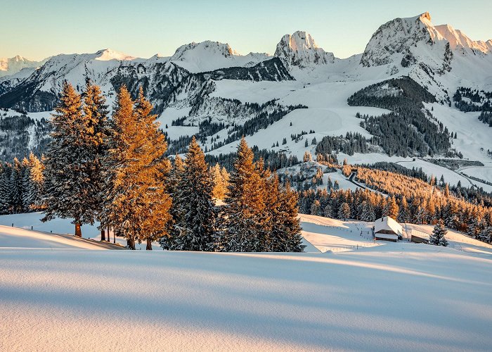 Rope Park Gantrisch Gantrisch Nature Park | Switzerland Tourism photo