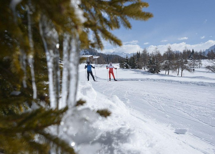 Aletsch Arena Cross-country skiing in the Aletsch Arena photo