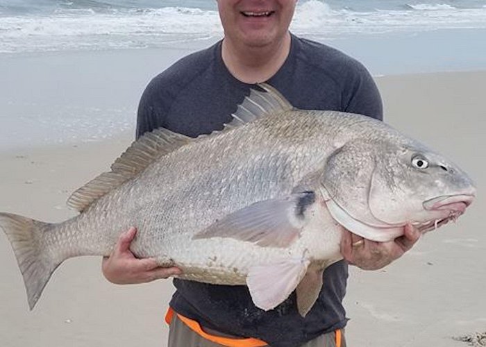 Assateague Island National Seashore Assateague Island Shut Down - Ocean City MD Fishing photo