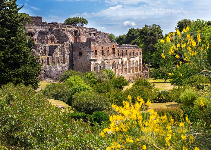 Pompeii Ruins Visit Pompei: 2024 Travel Guide for Pompei, Campania | Expedia photo
