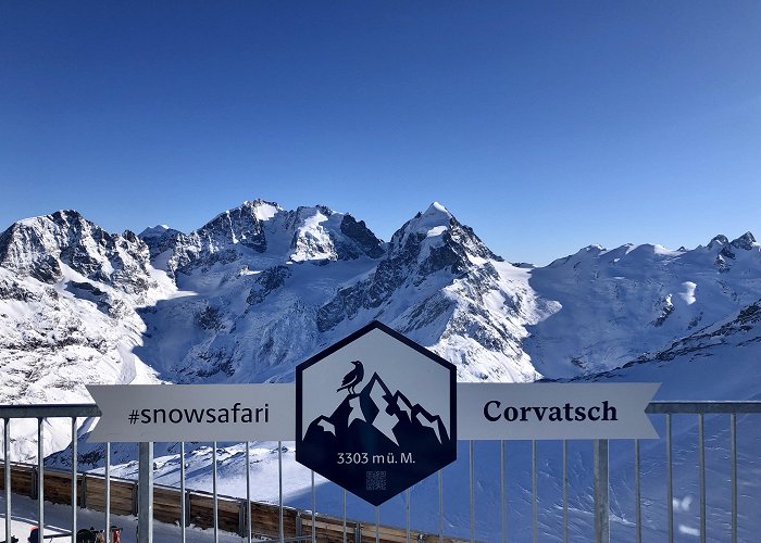 Murtel-Corvatsch St Moritz Corvatsch Furtschellas • Ski Holiday • Reviews • Skiing photo