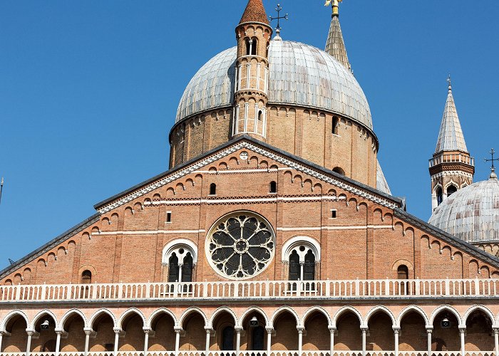 Euganean Stadium Duomo di Padova: Photos, Map & Reviews [2024] | Trip.com photo