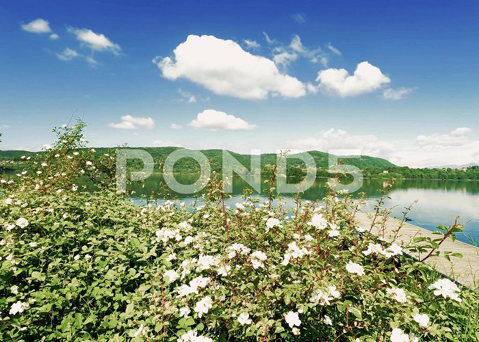 Comabbio Lake Landscape on Lake Corgeno Italy | Stock Video | Pond5 photo