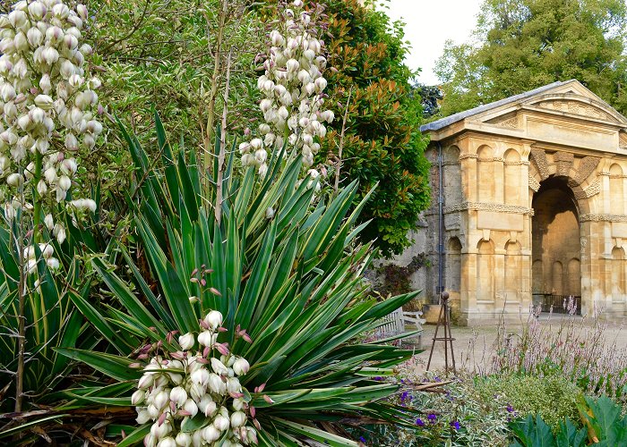 Botanic Gardens Oxford The Walled Garden | Oxford Botanic Garden and Arboretum photo