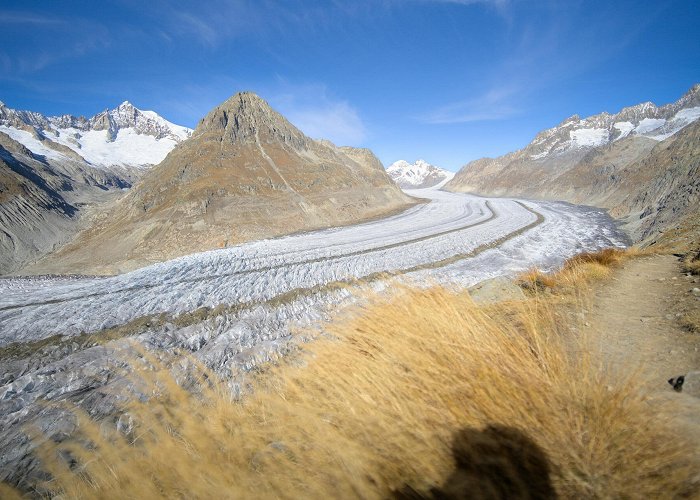 Aletsch Glacier Hiking to see the Aletsch glacier: our practical guide (map + GPX) photo