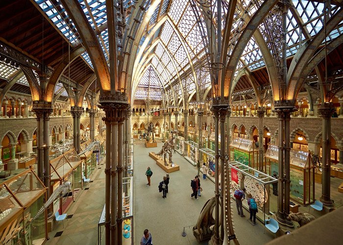 Museum of the History of Science Venue Hire | Oxford University Museum of Natural History photo