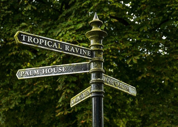 The Tropical Ravine House Belfast Botanic Gardens Tours - Book Now | Expedia photo