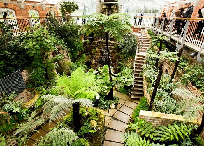 The Tropical Ravine House The Tropical Ravine at Botanic Gardens | Attractions, Indoor ... photo