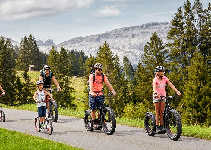 Rossweid Bikeboard | Switzerland Tourism photo