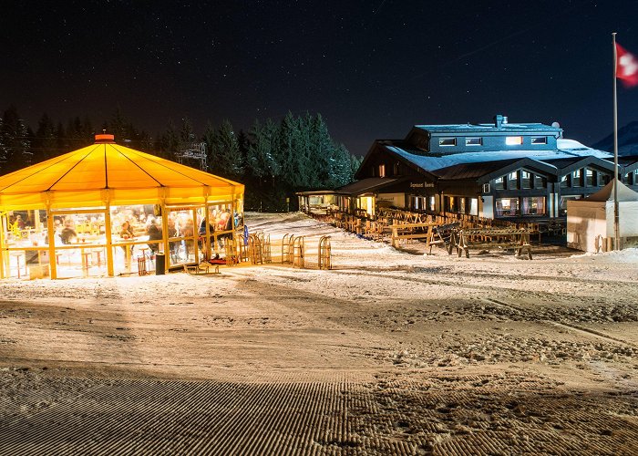 Rossweid Night sledging Rossweid Sörenberg | Switzerland Tourism photo