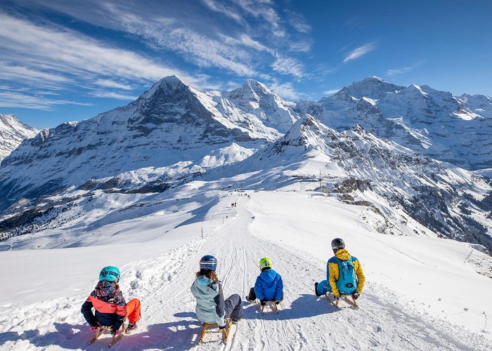 Innerwengen Jungfrau Region Hiking & Sledging Pass | jungfrau.ch photo