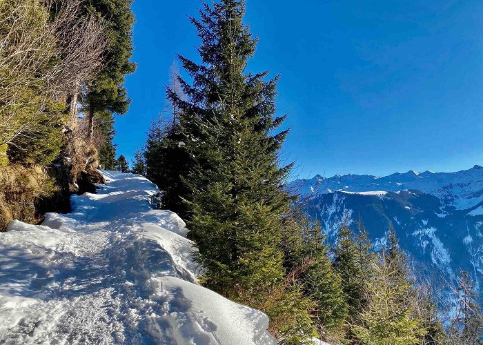 Gondelbahn Hüttenberg-Grotzenbüel A Great Circular Snowshoe Hike in Braunwald with Ice Cave ... photo