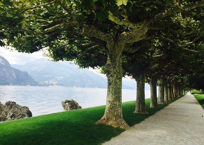 Villa Melzi Gardens i Giardini di Villa Melzi (Bellagio, Italy): Top Tips Before You ... photo