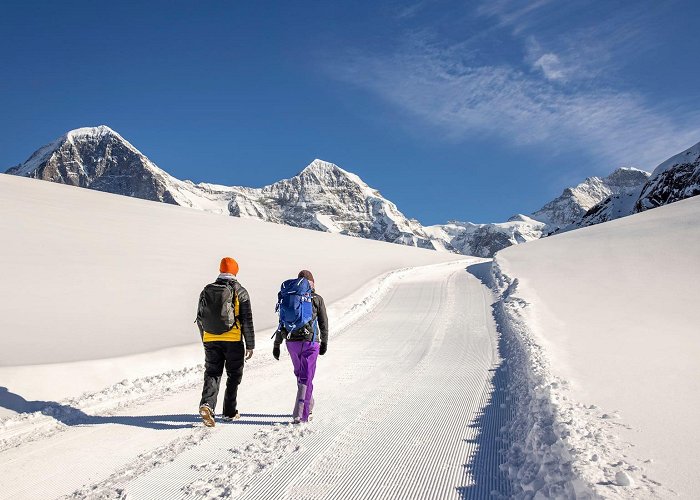 Mount Eiger Winter walking trail Männlichen - Kleine Scheidegg | jungfrau.ch photo