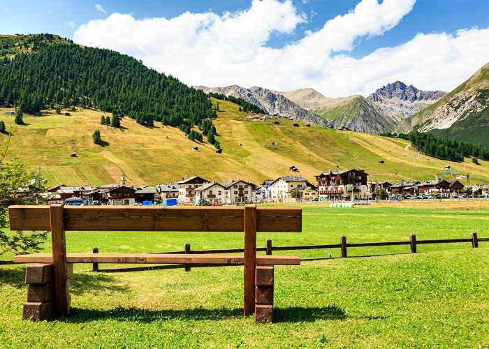 Livigno - Tagliede Summer activities for children in Livigno | Husky Village photo