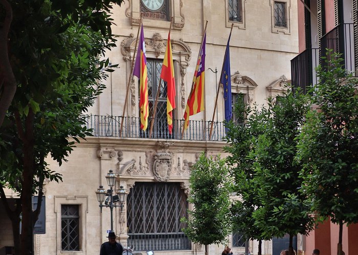 Palma Town Hall ITAP of a street with a horse and flags in Palma de Mallorca ... photo
