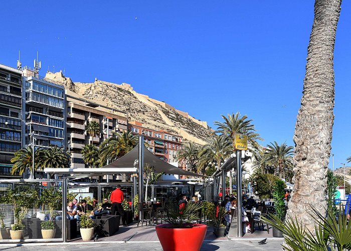 Bulevar plaza Alicante, Spain (4) – From the Beach to the Station | Fai Quan photo