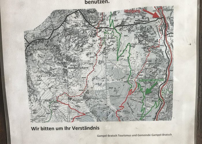 Luftseilbahn Gampel-Jeizinen Jeizinen Höhenweg (1690m) (1690m): Aktuelle Verhältnisse vom 17.06 ... photo