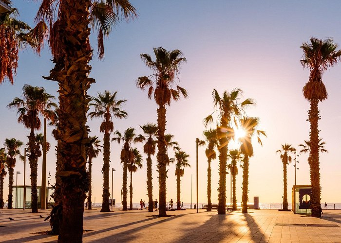 Barceloneta Beach 17 Best Beaches in Barcelona | Condé Nast Traveler photo