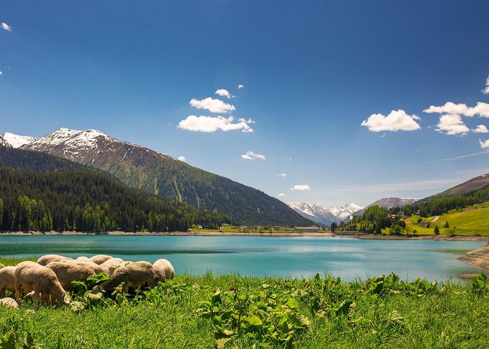 Jakobshornbahn 1 Lake Davos Tours - Book Now | Expedia photo