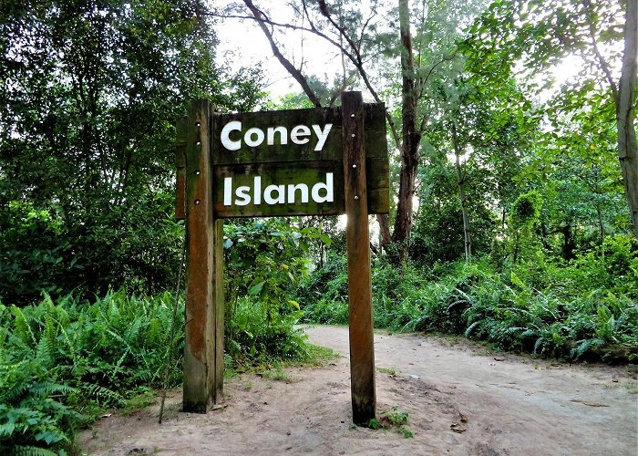 Coney Island Singapore Coney Island – Hiking the Green Isle photo
