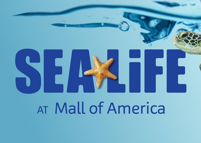 Minnesota Sea Life Acquarium Mall Of America photo