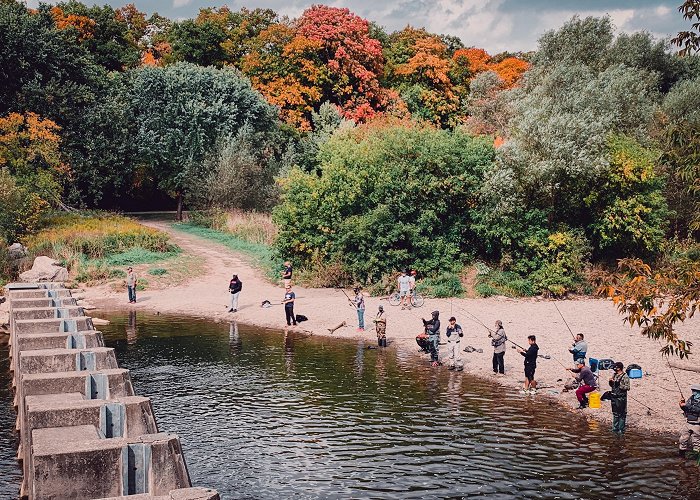 Eldorado Park Salmon fishing at Erindale Park : r/mississauga photo