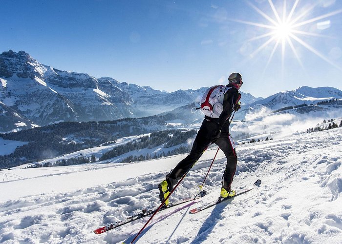 la Foilleuse Yannick Ecoeur' Black Trail / Rando Parc Morgins (Morgins ... photo