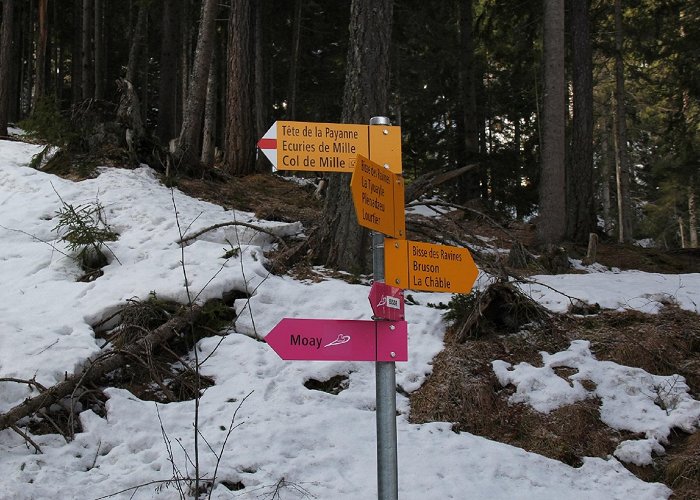 Moay Bruson – La Côt (Bruson) | Verbier - Val de Bagnes | Office du ... photo