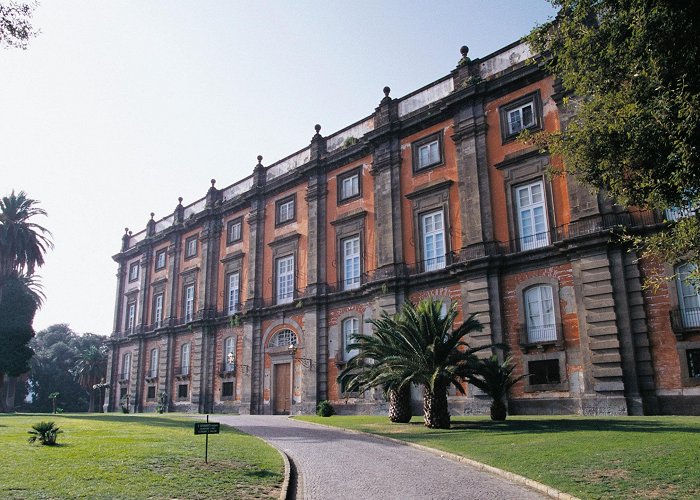 Capodimonte National Museum Why Naples's Museo di Capodimonte Is the Most Underrated Museum in ... photo