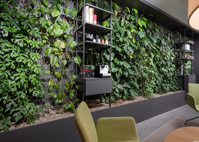 SUVA headquarters Reception area with green wall - Hydroplant photo