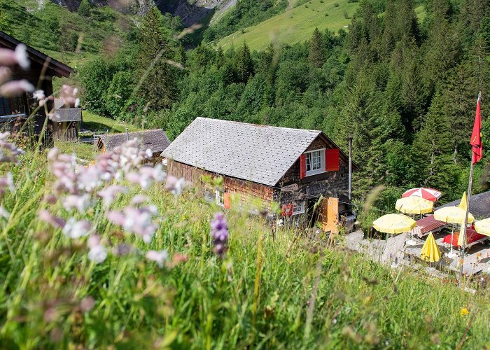 Elm-Tschinglen-Alp SEGNES TREK (6 stages) - BERGFEX - long-distance walking trail ... photo