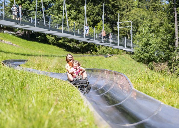 Engelstock Sattel-Hochstuckli | Switzerland Tourism photo