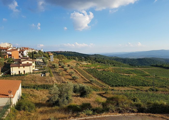 Castellina in Chianti photo