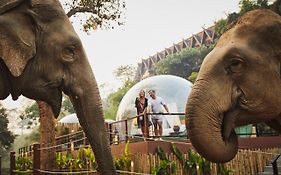 Anantara Golden Triangle Elephant Camp & Resort Csiangraj Exterior photo