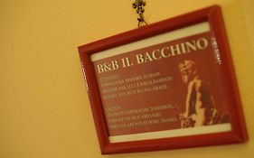 B&B Il Bacchino Prato  Exterior photo