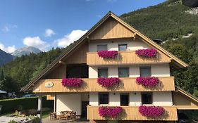 Apartments Maja By The River Bohinji-tó Exterior photo