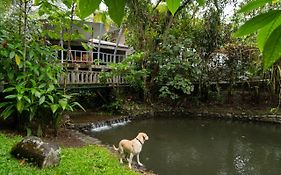 Rancho Margot Sustainable & Self Sufficient Eco Lodge El Castillo Exterior photo