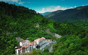 Crowne Plaza - Borjomi, An Ihg Hotel Exterior photo